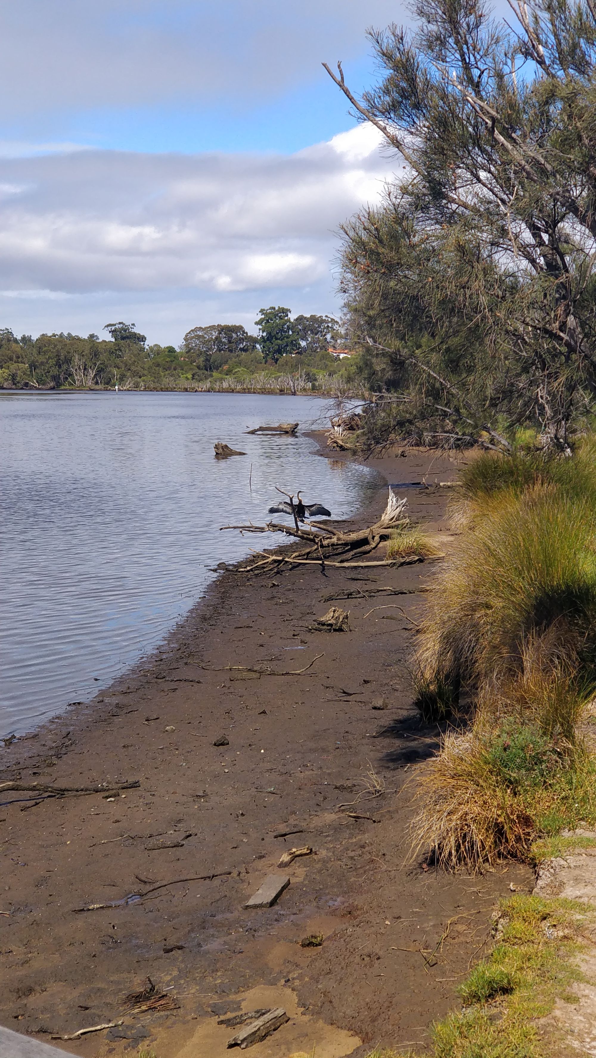 October Meetup - Baigup Wetlands