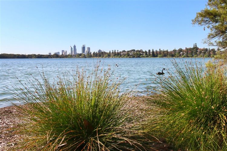 March Meetup - Lake Monger