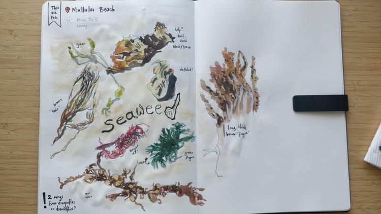 From nature walk to journal page