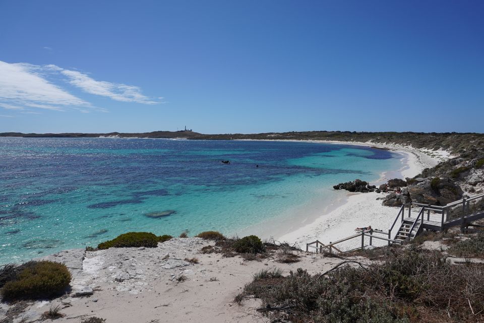 Rottnest trip | NJWM