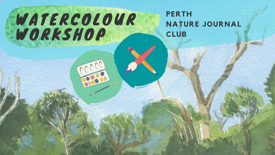 August 2022 + watercolour workshop