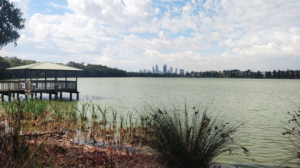 March Meetup - Lake Monger