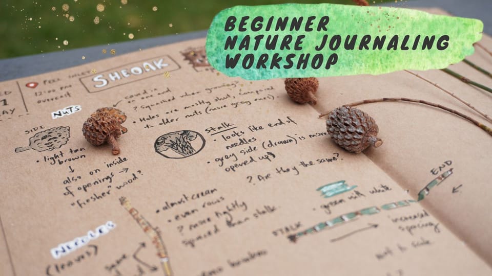 Workshops and schools